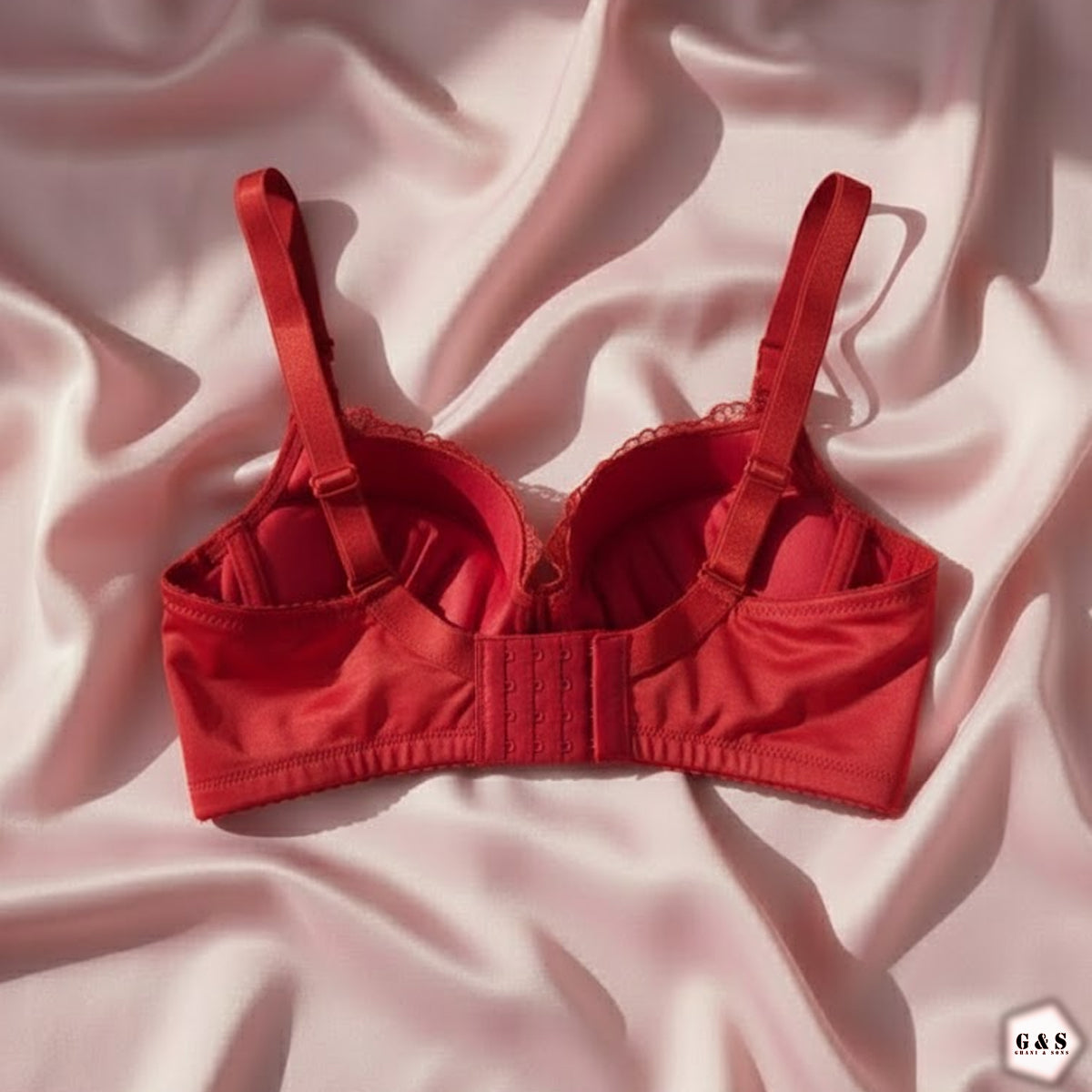 Pack Of 2 Full Back Support Wired Double Padded Pushup Bras