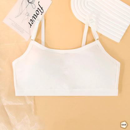 Pack Of 3 Pure Cotton Back Hook Style Light Weight Bralette