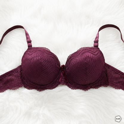 Lace Design Pack Of 3 Double Padded Pushup Wired Bras