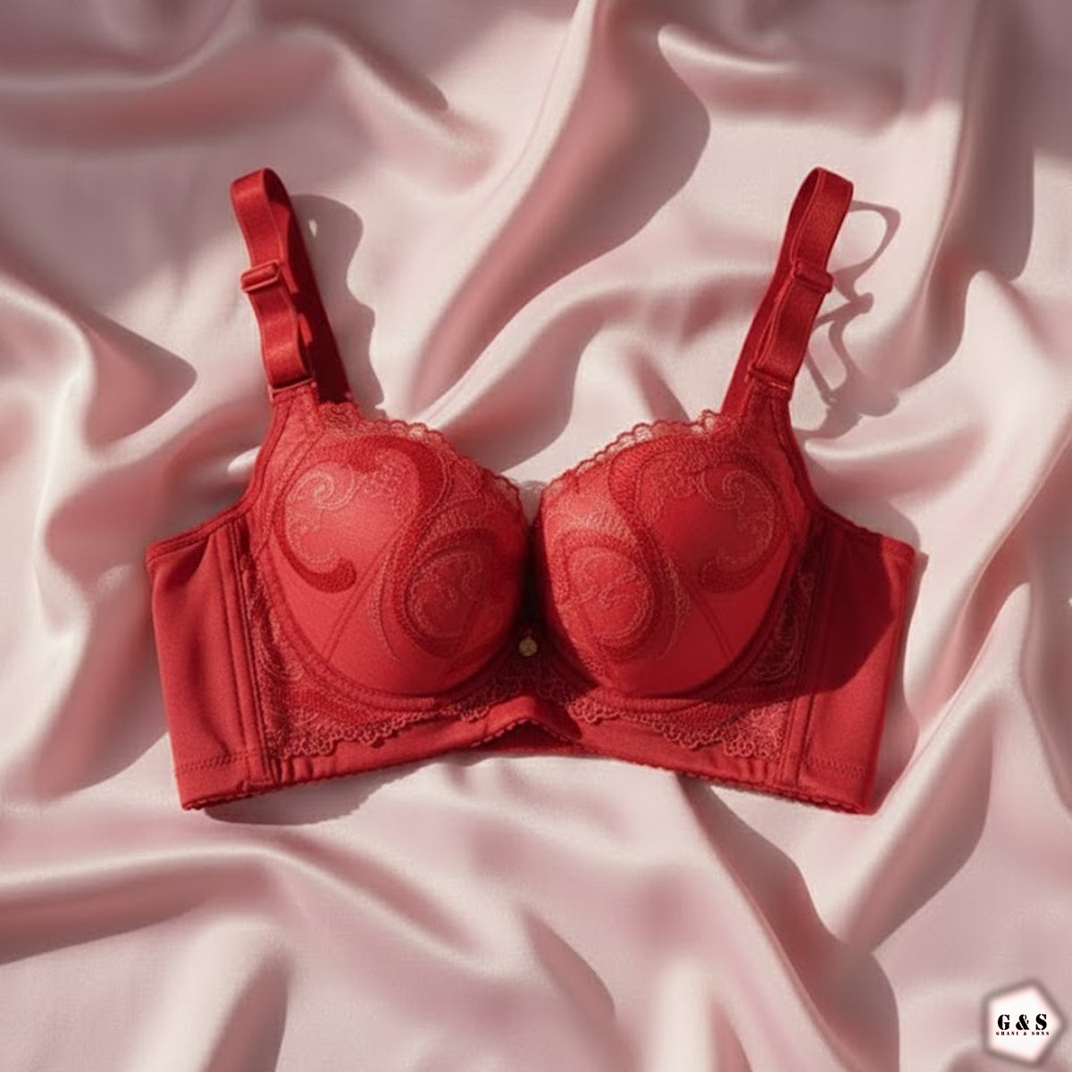 Pack Of 2 Full Back Support Wired Double Padded Pushup Bras