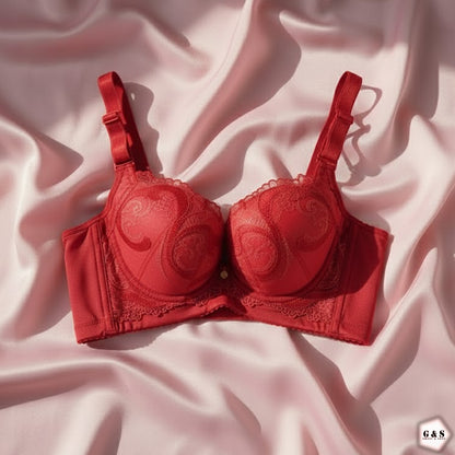 Pack Of 2 Full Back Support Wired Double Padded Pushup Bras