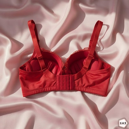 Pack Of 2 Full Back Support Wired Double Padded Pushup Bras