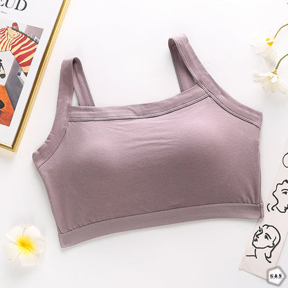 Pack Of 2 Pushup Sports/Casual Bralette