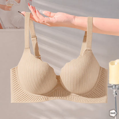 Pack Of 2 Double Padded Pushup Non-Wired Seamless Bras