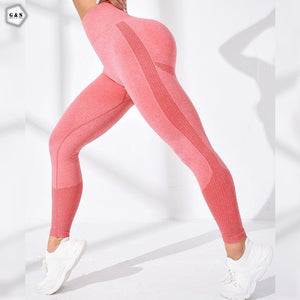 Exclusive Design Gym/Yoga Seamless Legging