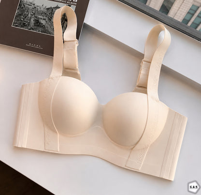 Pack Of 2 Double Padded Pushup Thick Straps Non-Wired Seamless Bras