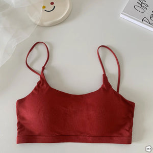 High Quality Pack Of 3 Back Buckle Style Bralette