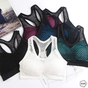 Pack Of 3 Mesh Net Design Sports Bra