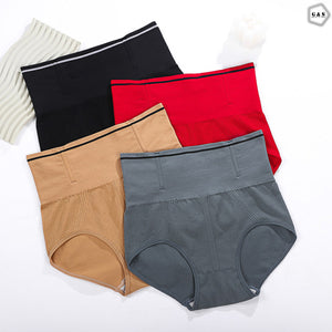 Pack Of 3 Fully Supported High Waist Panties