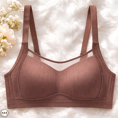 Pack Of 3 Light Padded Non-Wired Full Coverage T-Shirt Bras