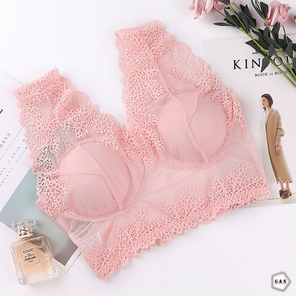 Beautiful Pack Of 3 New Style Lace Bralette