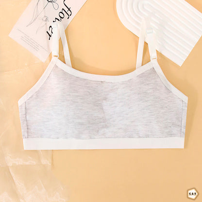 Pack Of 3 Pure Cotton Back Hook Style Light Weight Bralette