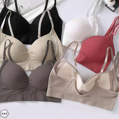 Ladies Imported Pack Of 3 Adjustable Straps Padded Bralette