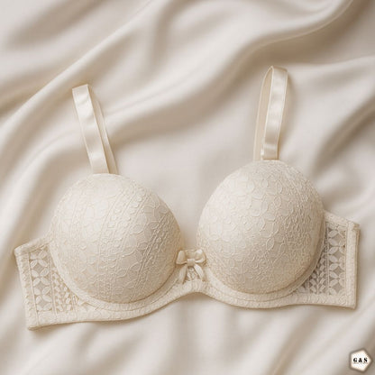 Pack Of 2 40DD/E Size Single Padded Light Padded Wired Pushup Bra