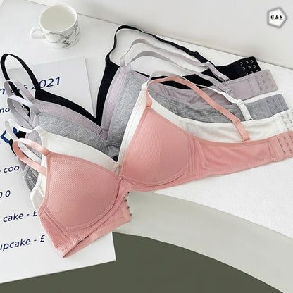 Girls Imported Pack Of 3 Light Padded T-Shirt Bra/Bralette