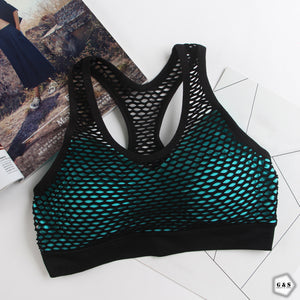 Pack Of 3 Mesh Net Design Sports Bra