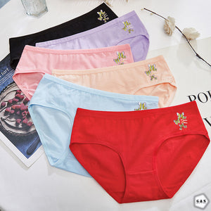 Pack Of 5 Cotton Jersey Panties