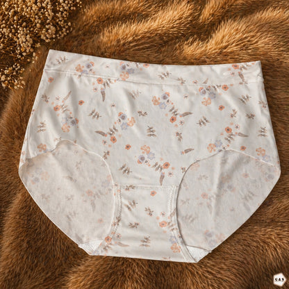 High Quality Summer Friendly Malai Jersey Pack Of 5 Panties