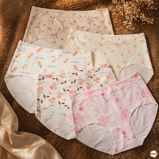 High Quality Summer Friendly Malai Jersey Pack Of 5 Panties