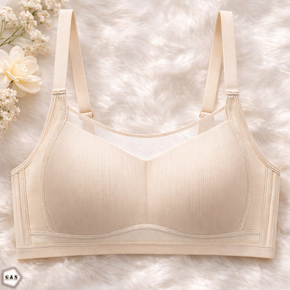 Pack Of 3 Light Padded Non-Wired Full Coverage T-Shirt Bras