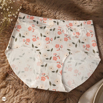 High Quality Summer Friendly Malai Jersey Pack Of 5 Panties