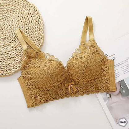 High Quality Pack Of 2 Pushup Non Wired Thick Padded Lace Bras