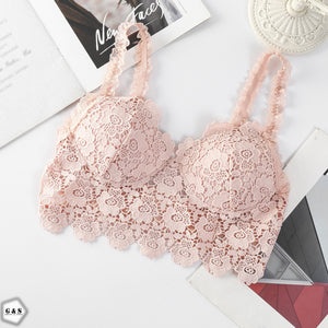 High Quality Pack Of 3 Lace Embroidery Pushup Bralette