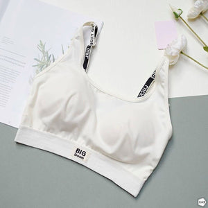 High Quality Pack Of 3 Sports/Casual Bralette