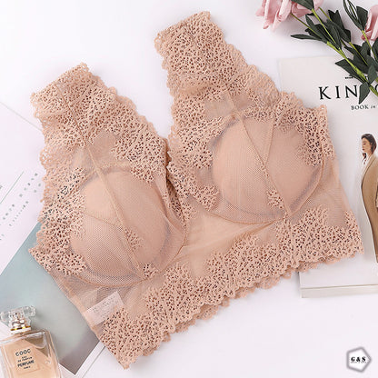 Beautiful Pack Of 3 New Style Lace Bralette