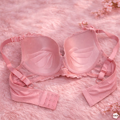 Pack Of 3 Fancy Wired Lace Pushup Bras