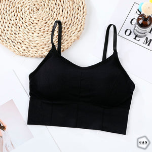 Pack Of 3 New Style Sports/Casual Bralette