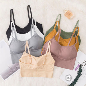 Pack Of 3 New Style Sports/Casual Bralette