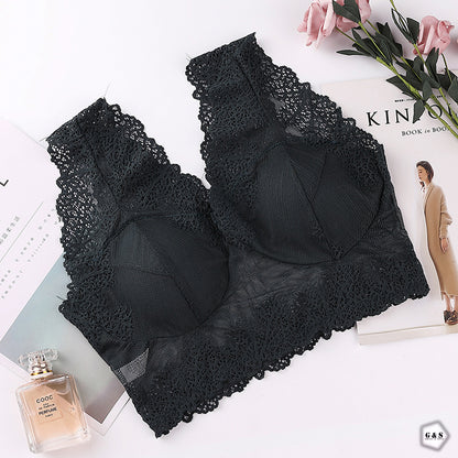 Beautiful Pack Of 3 New Style Lace Bralette