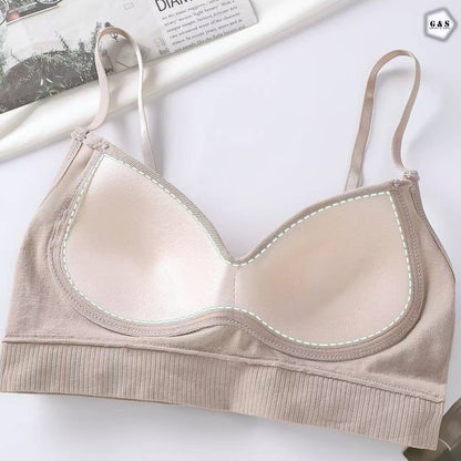 Ladies Imported Pack Of 3 Adjustable Straps Padded Bralette