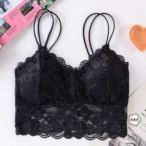 Pack Of 3 Stylish Lace Bralette